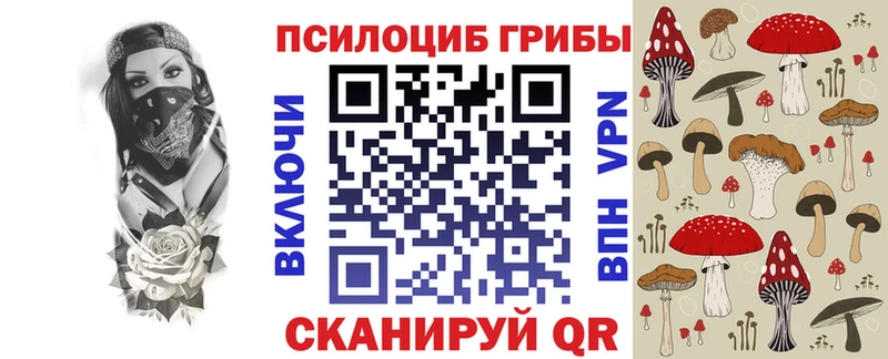 закладки  Кемерово  Галлюциногенные грибы GOLDEN TEACHER 